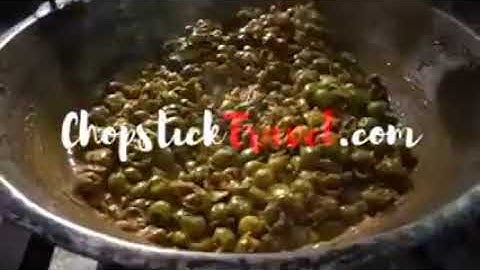 Otter Director Live Stream