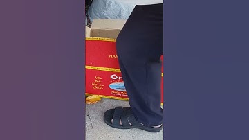 Giống hoa cúc pha lê đại đóa tết 2025