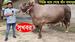 সুখবর 2024 ঈদে প্রান্তিক খামারির সবচেয়ে বড় ফ্লেকভি গরু গাজীপুরের খাঁন বাহাদুর বিক্রি হয়ে গেছে