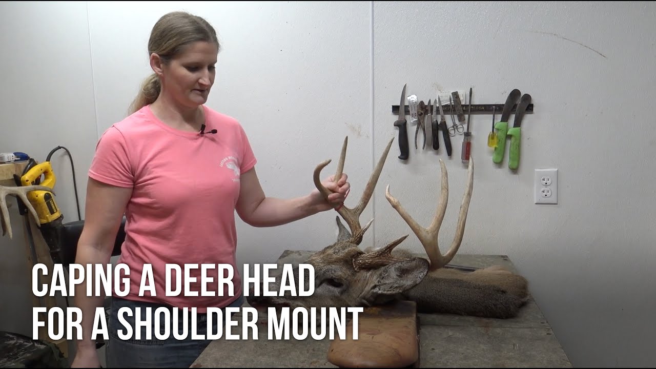 Caping A Deer Head For A Shoulder Mount YouTube