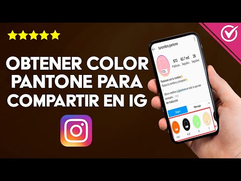 Cómo Saber y Obtener el Color Pantone Según mi Nombre para Compartirlo en Instagram