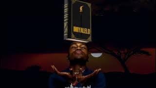 Nomndayi Ukufa (Visualiser)