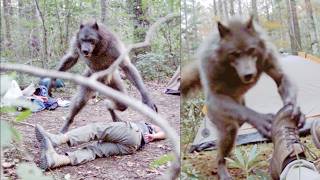 Trail Cam Captures MASSIVE Dogman Stalking Campers in Great Smoky Mountains — Dogman Stories