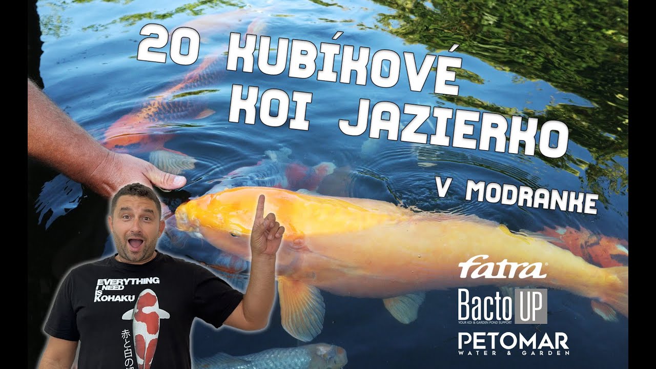 Príjemné KOI jazierko v Modranke - POND TALK #1