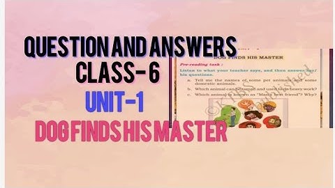 QUESTION AND ANSWERS#class-6#English#unit-1#Dog finds his master#