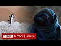Pirates Of Puntland BBC Africa Pirates Of Puntland BBC Africa