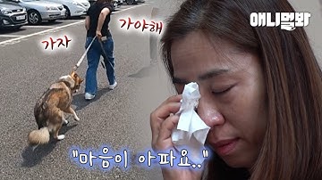 늑대소녀보아 - YouTube 늑대소녀보아 - Youtube