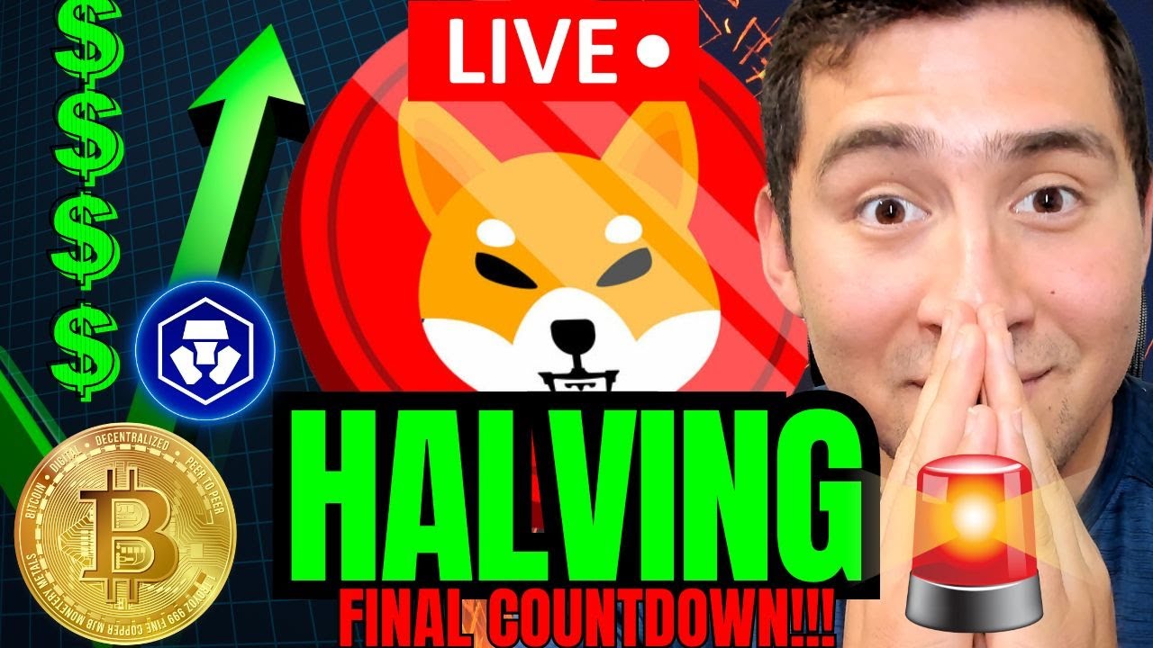 SHIBA INU COIN – BITCOIN HALVING Countdown Live🔴Breaking Crypto NEWS