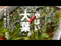【５分で出来るスーパー薬味】もうこれあると楽しみ倒したくなります。やばいおおば漬け。
