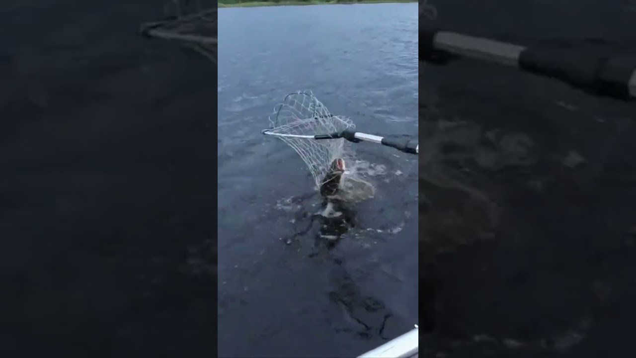 15 февраля 2026 г.