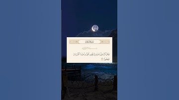 أكتب شيء تؤجر عليه 🌱 الشيخ سعد الغامدي - القرآن الكريم