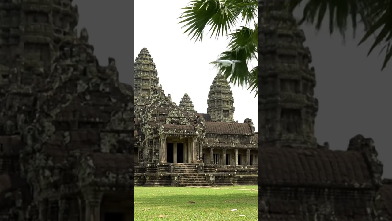 Shocking Drone Fail at Angkor Wat – Hits Palm Tree! 