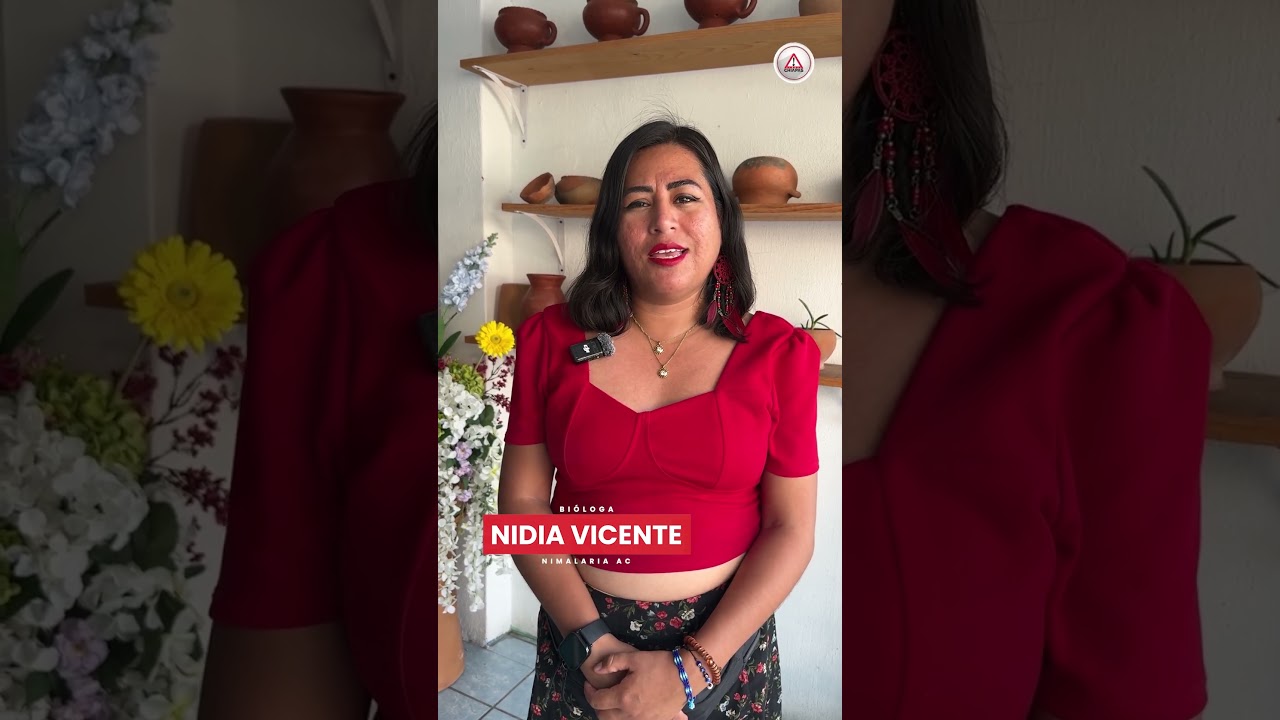 Calor en Tuxtla pone en evidencia la falta de árboles
