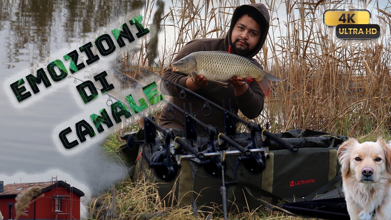 Carpfishing in canale I Inverno e Freddo I Natura e Relax