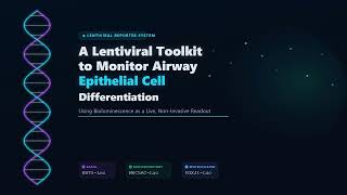 LentiviralToolkit: 𝗕𝗶𝗼𝗹𝘂𝗺𝗶𝗻𝗲𝘀𝗰𝗲𝗻𝘁 𝗥𝗲𝗽𝗼𝗿𝘁𝗲𝗿𝘀 𝗚𝗲𝗻𝗲𝘀 𝗳𝗼𝗿 𝗟𝗼𝗻𝗴𝗶𝘁𝘂𝗱𝗶𝗻𝗮𝗹 𝗔𝗶𝗿𝘄𝗮𝘆 𝗗𝗶𝗳𝗳𝗲𝗿𝗲𝗻𝘁𝗶𝗮𝘁𝗶𝗼𝗻 𝗠𝗼𝗱𝗲𝗹𝗶𝗻𝗴
