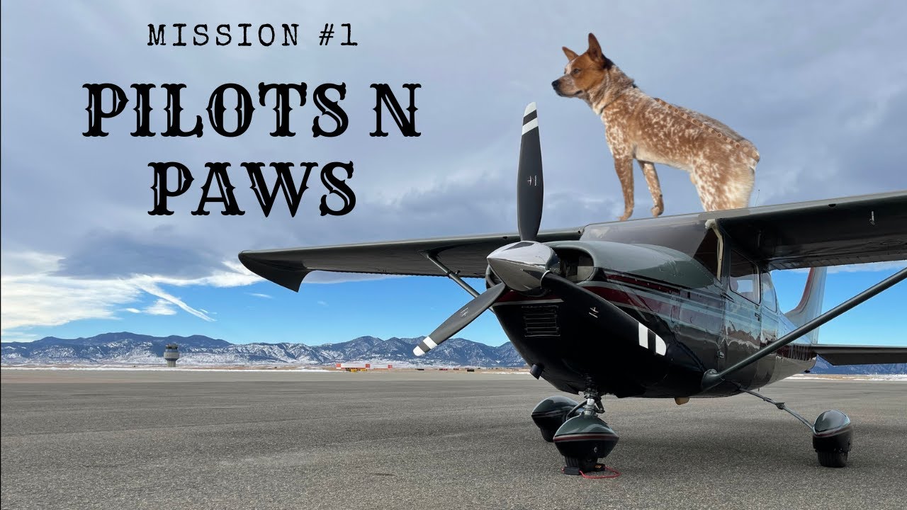 Flying for Pilots N Paws | Mission #1 | CESSNA 182