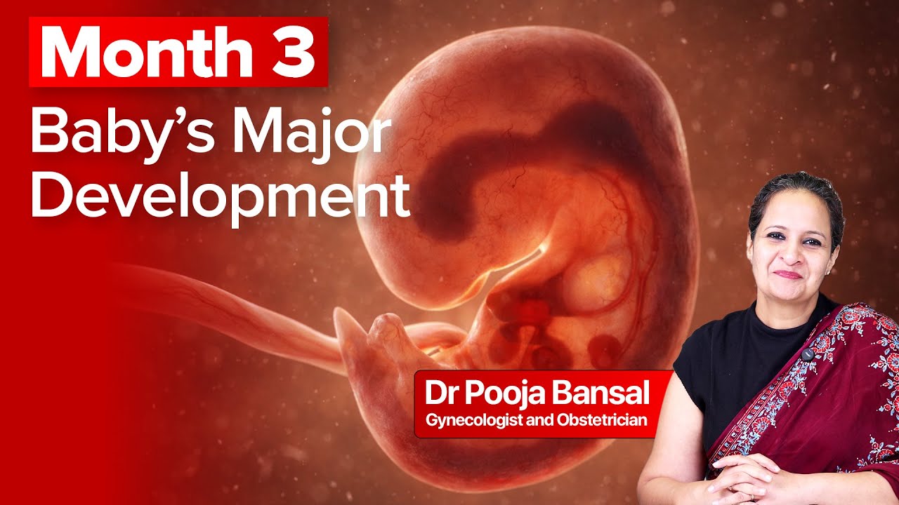 Pregnancy Month 3: Baby Development, Acidity & Safety Tips | Dr. Pooja Bansal, Navi Mumbai