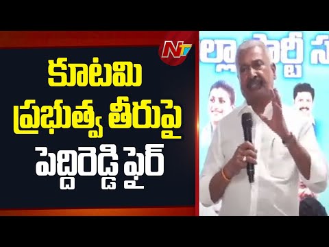 దోచుకోవడం కోసమే చంద్రబాబు, మంత్రివర్గం పని చేస్తుంది: Peddireddy Ramachandra Reddy | NTV Telugu - NTVTELUGU