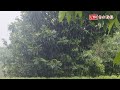 高雄市未來一週不定時降雨  這3天雨勢最大