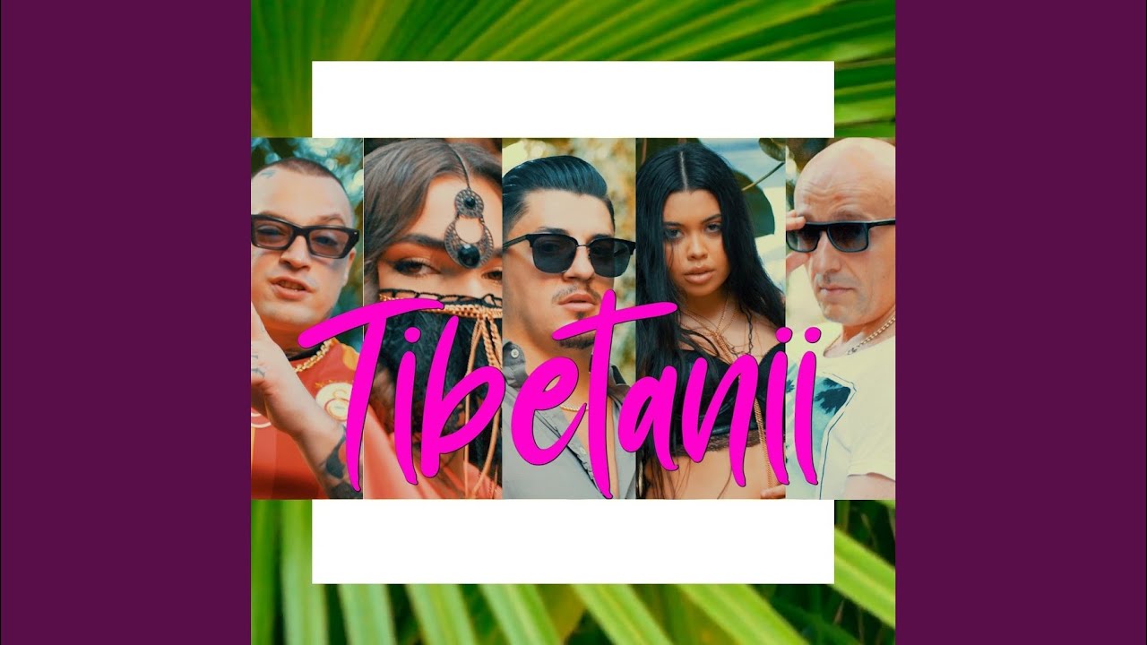 Tibetanii (Radio Edit)