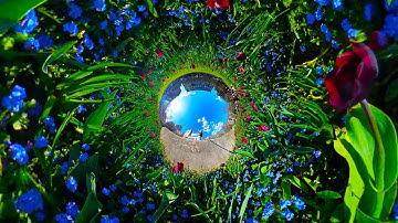 7 creative TINY PLANET videos | Insta360 X4