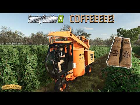 HARVESTING COFFEE on FS25 - RECANTO DA ALVORADA #4 - GAMEPLAY