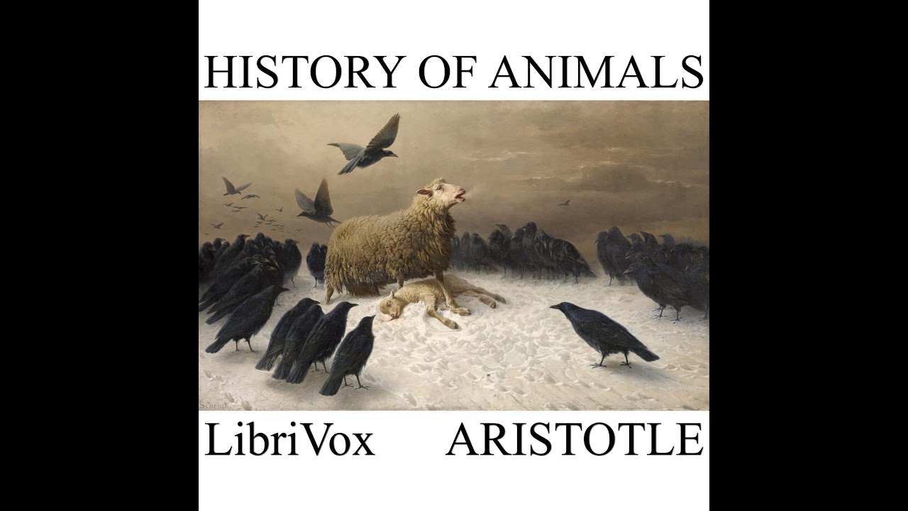 History of Animals Book 1 by Aristotle - YouTube