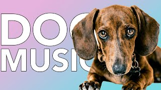 EXTREMELY RELAXING DOG MUSIC: 20 Hours of All Day Calming Music for Dogs!