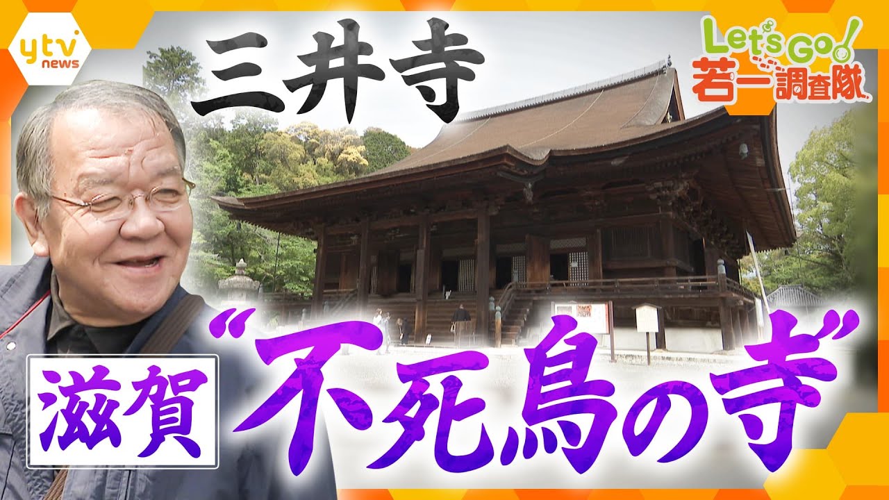 【若一調査隊】日本を代表する大寺院「三井寺」日本三名鐘「三井の晩鐘」で知られる古刹には、“日本家屋の原点”の国宝や重要文化財の数々！