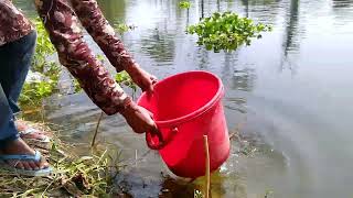 Best Fishing Video 2022  Traditional Boy Catching Big fish With Plastic Bottle.