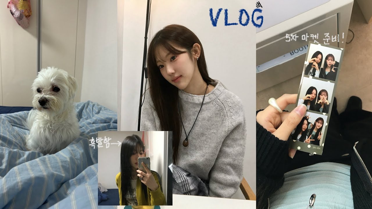 VLOG. 이것은 갓생일까 과로.일까 ? ߹ - ߹ | 동거 끝 ! 드디어 혼자산다,, | 망치 두번째 폐수종💧| 휴학생이자 쇼핑몰 사장(ㅋ) 이자 드러머..? 일상 브이로그