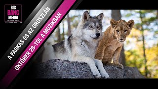 A farkas és az oroszlán (6) - Hivatalos magyar nyelvű előzetes