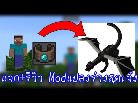 แจกMod แปลงร่างสุดเจ๋ง พร้อมรีวิว!