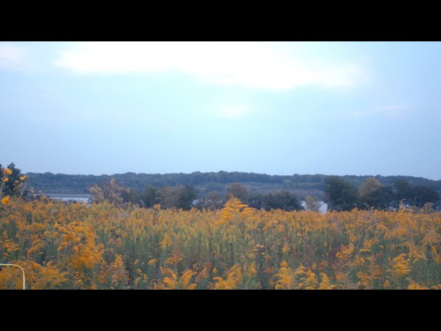 Loading video