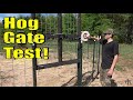 Hog Trap Gate Testing & Install