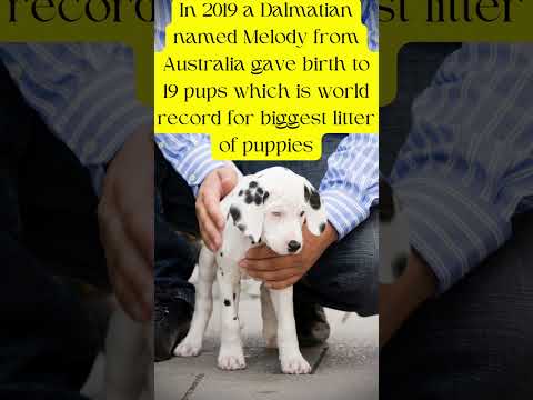 3 facts about