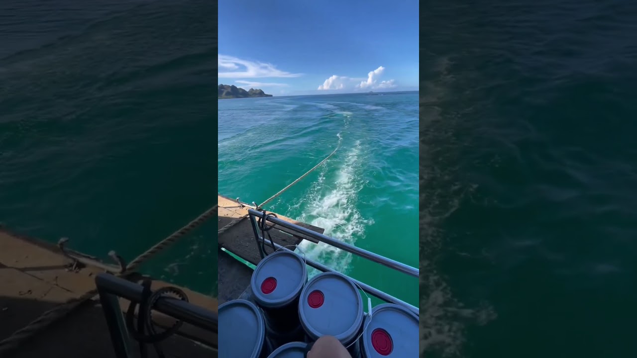 “Wave Power Moment 🌊⚓”