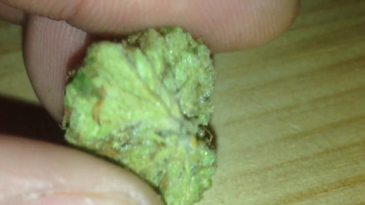 Cali Orange (Kush x Haze)