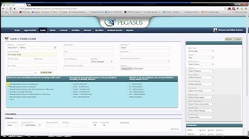 How to Create a Lead in Pegasus CRM