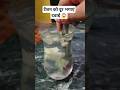 😆😛#trending #youtube #funny #jyotikakitchen #shorts @varshakawale85 || Varsha kawale ||#varsha1985