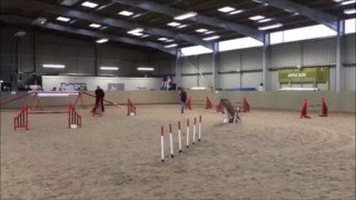 UKA Agility Antics Beginners Agility - Emma and Poppy 21/02/16