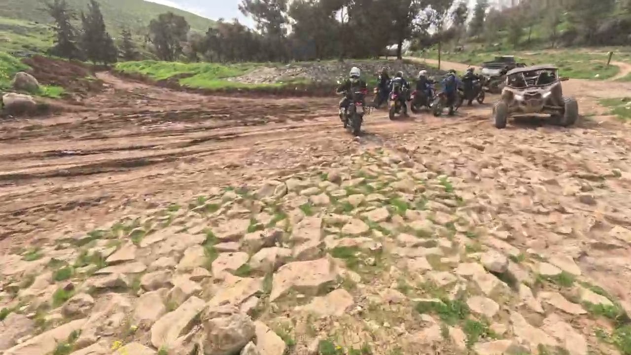 יער יתיר עם חברים טובים