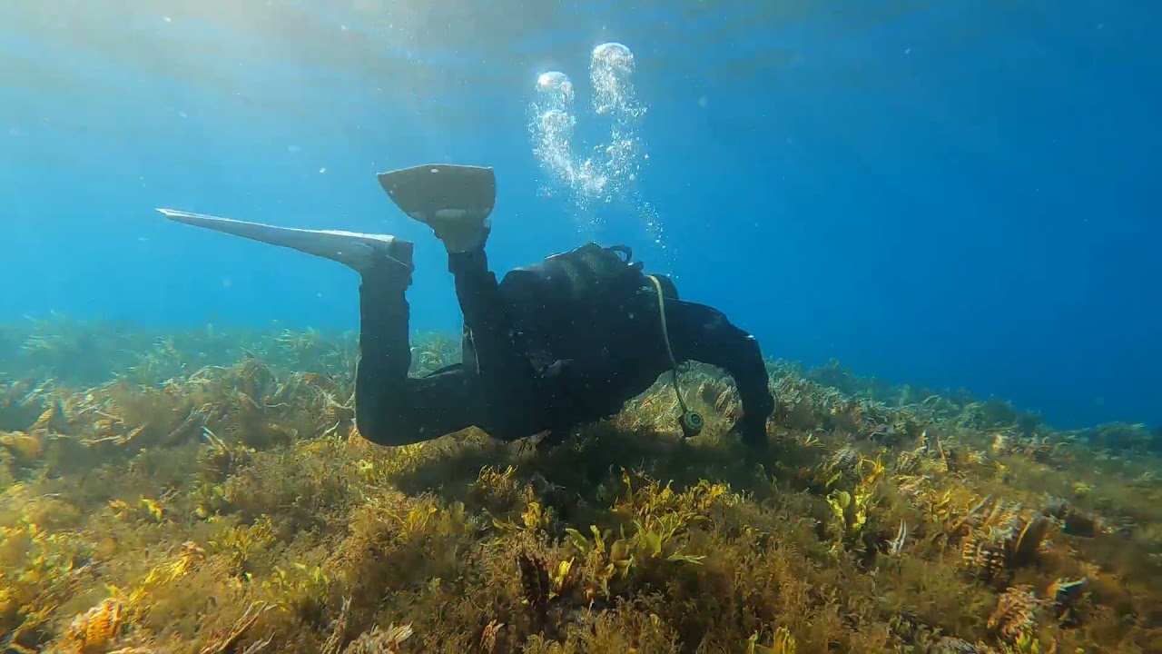 Дайвинг на о. Монерон, Сахалинская область. 4/5 сентябоя 2021 год ...