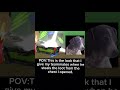 This is the teammates that I get in Battle Royal #animalrivals #teammates #viral #fyp #battleroyale