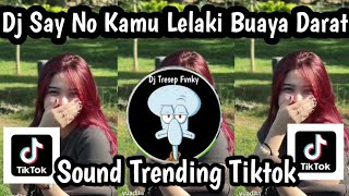 DJ SAY NO KAMU LELAKI BUAYA DARAT DJ TAPI TUNGGU DULU KAMU JANGAN BESAR KEPALA SOUND TRENDING TIKTOK