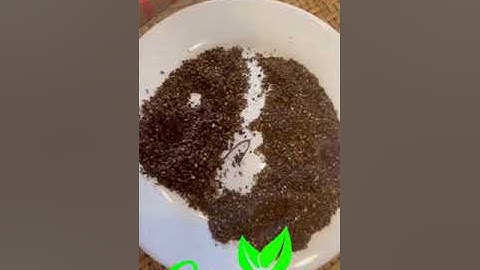 Cách Phân Biệt Hạt Dổi , Hạt Mắc Khén Loại 1