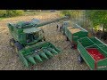 Kukorica aratás 2017 | John Deere S670i + John Deere 6145R + MTZ 82 | Corn harvest