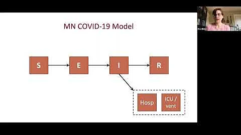 HUP Summer Webinar Series: Mathematical Modeling of the COVID-19 Epidemic in Minnesota