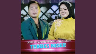 Tebbes Niser