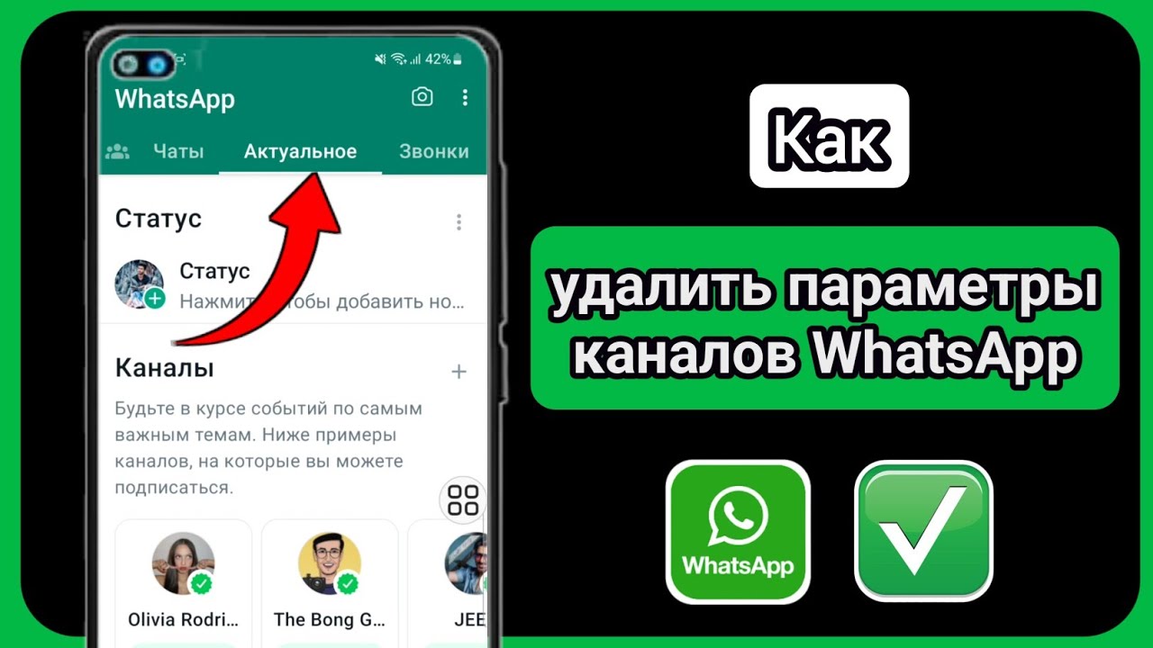 Вацап отзыв. Очистился ватсап.. Жестокий канал из ватсапа. Chatgpt Ватсапп канал. Как искать каналы в ватсапе.